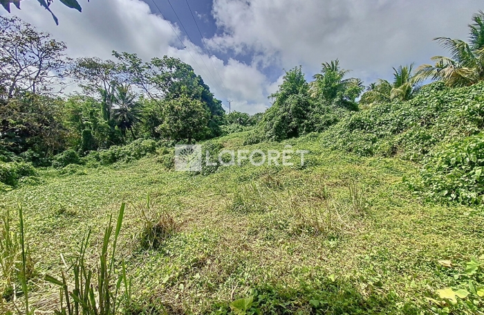 Vente Terrain 