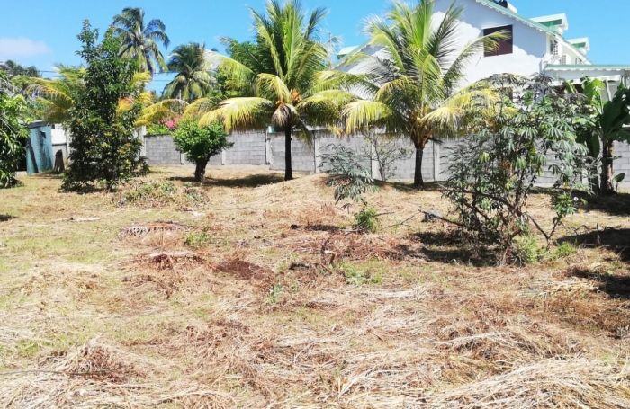 À VENDRE - TERRAIN CONSTRUCTIBLE À CAPESTERRE BELLE-EAU