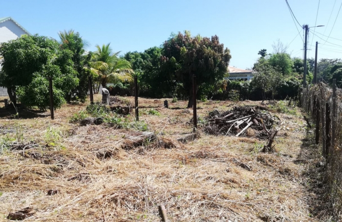 À VENDRE - TERRAIN CONSTRUCTIBLE À CAPESTERRE BELLE-EAU