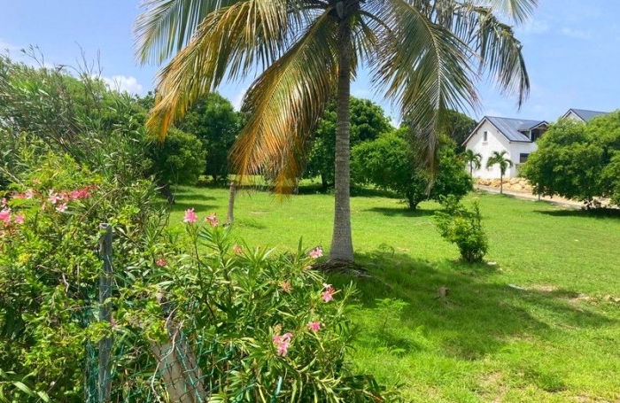 Vente Terrain 97118