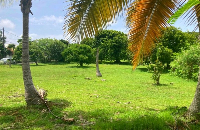 Vente Terrain 97118