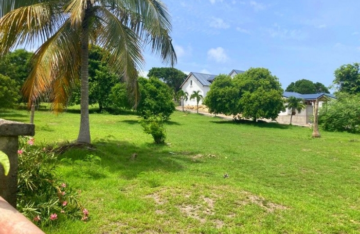 Vente Terrain 97118