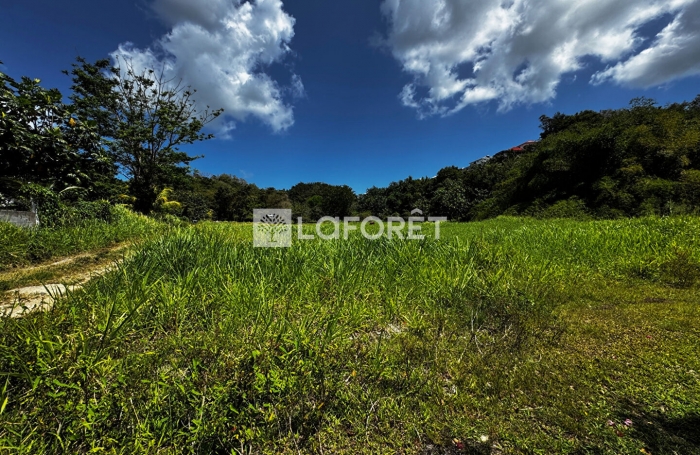 Vente Terrain 