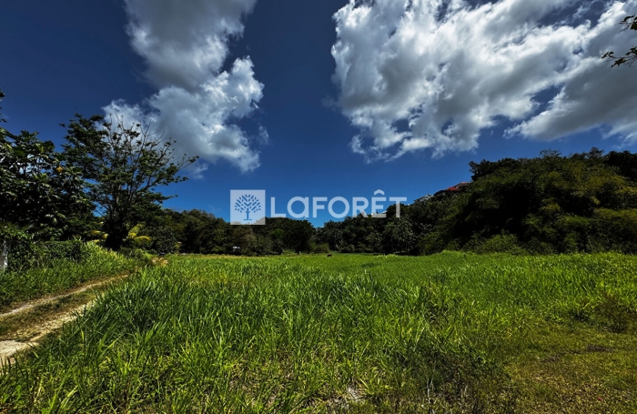 Vente Terrain 12000m² Morne à l'eau