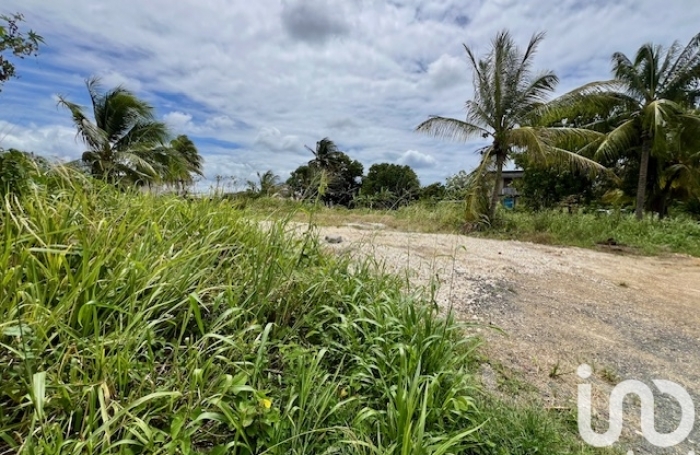 Vente Terrain 97117