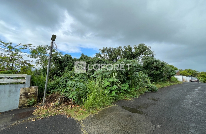 Vente Terrain 801m² Baie Mahault