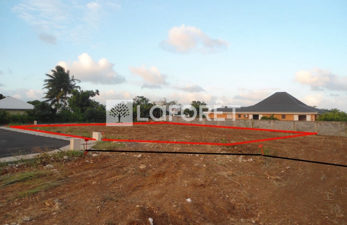 Vente Terrain 801m² Baie Mahault