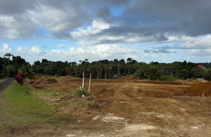 Vente Terrain 502m&sup2; 1 pi&#232;ce Petit-Bourg