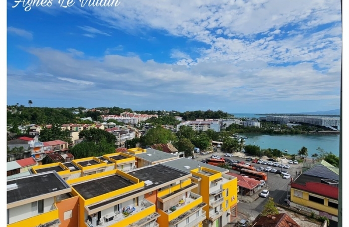 Vente Appartement 38m&sup2; 1 pi&#232;ce Pointe-à-Pitre