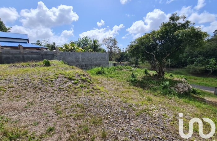 Vente Terrain 97160
