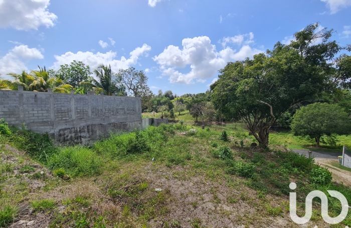 Vente Terrain 1000m&sup2; Le Moule