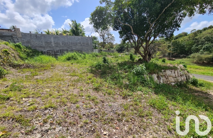 Vente Terrain 1000m&sup2; Le Moule