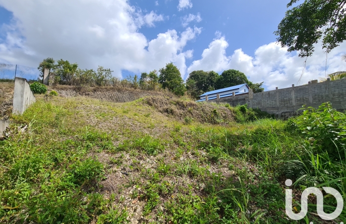 Vente Terrain 1000m&sup2; Le Moule