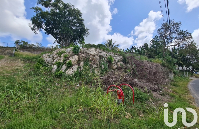 Vente Terrain 1000m&sup2; Le Moule