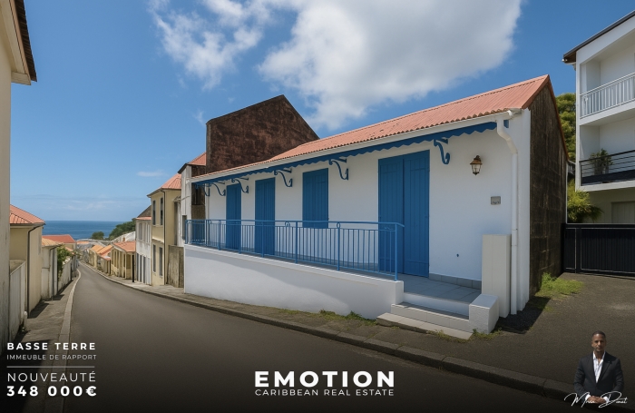 Vente Immeuble 97100