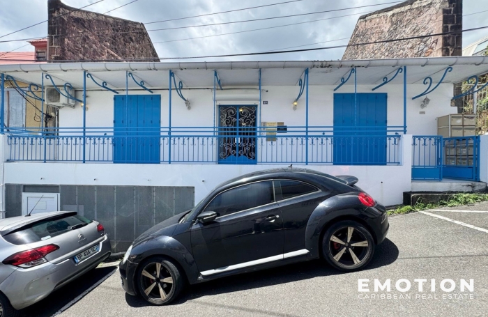 IMMEUBLE À VENDRE   255 m2 - Basse Terre - Centre Ville