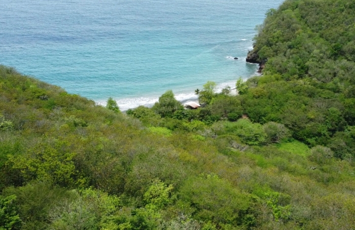 Vente Terrain 
