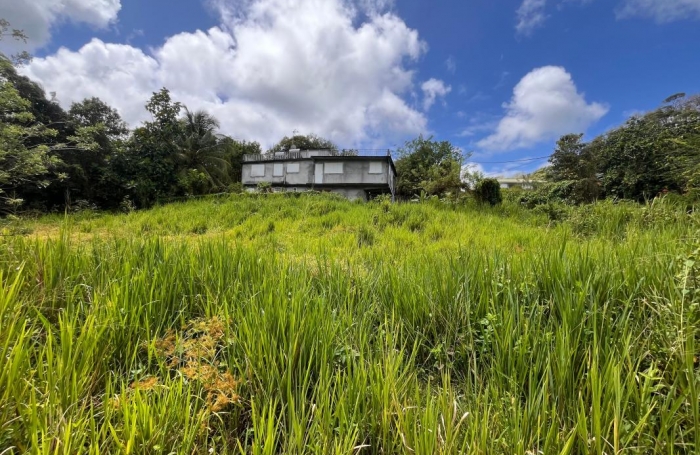 Vente Terrain 1013m&sup2; Morne à l'eau