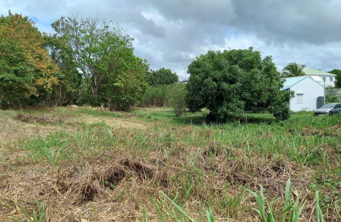 Vente Terrain 