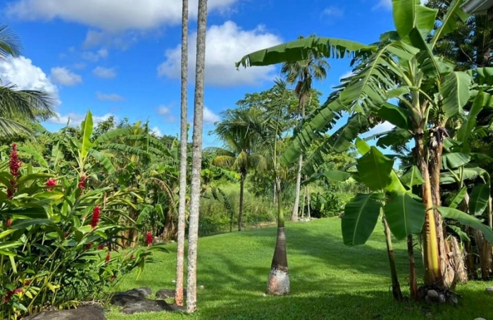 Vente Maison 97129