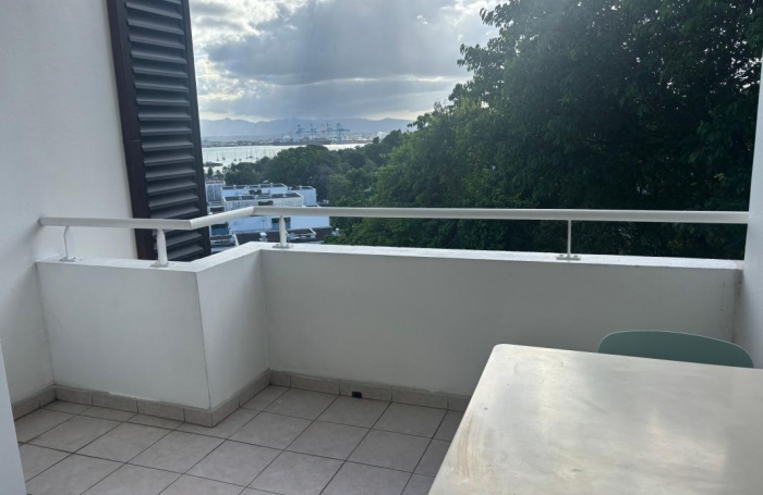 Location Appartement 97139
