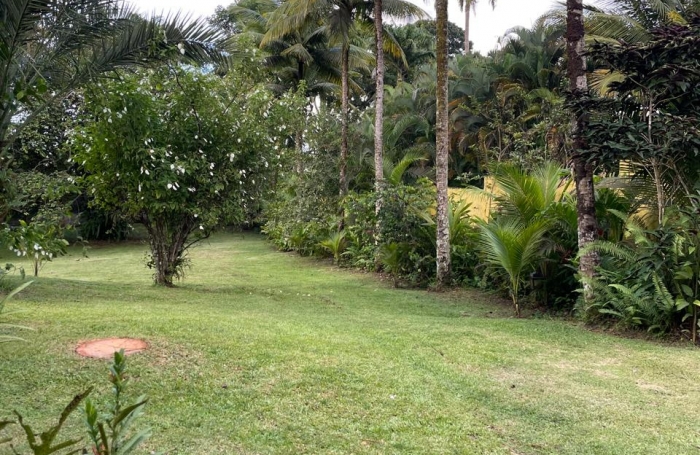 Exceptionnel Petit-Bourg - Villa meublée T8 au coeur d'un jardin tropical de 4800 m2