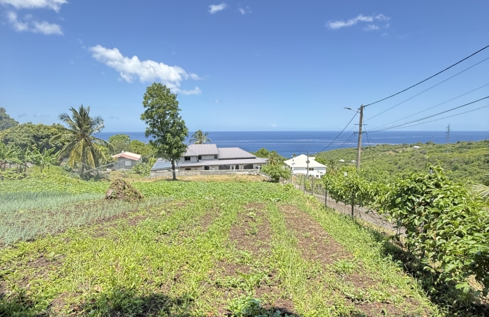 Vente Terrain 1000m&sup2; Vieux Habitants