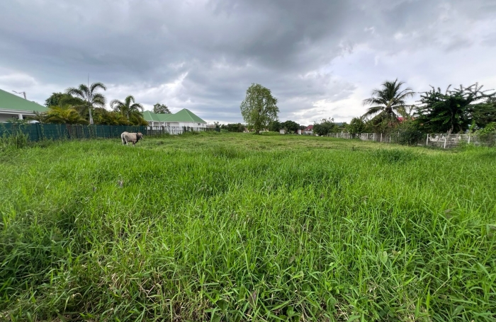 Vente Terrain 97139
