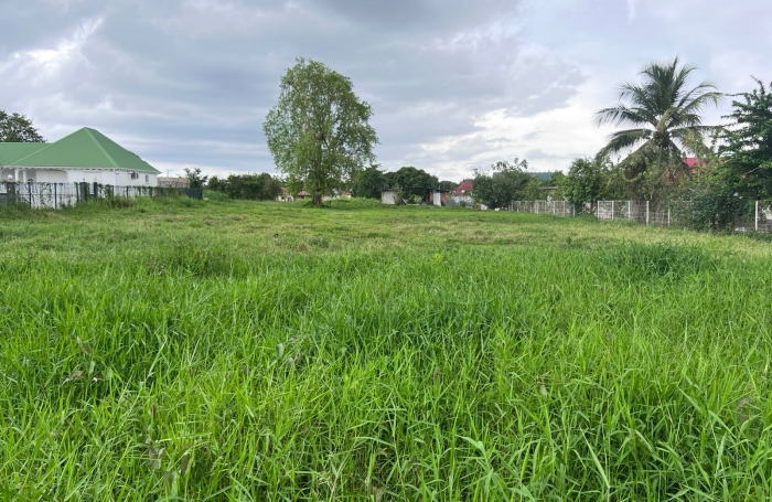 Terrain plat d'environ 730 m2 - LES ABYMES