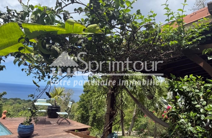 HABITATION de CHARME et D'EXCEPTION + BUNGALOW , piscines à Pointe Noire - Belle vue sur la Mer des Caraibe