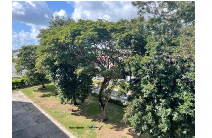 Vente Appartement 78m&sup2; 4 pi&#232;ces Les Abymes