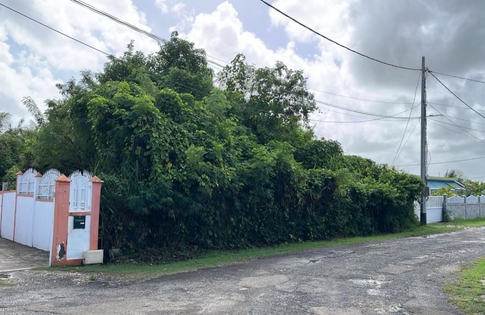 Vente Terrain 537m&sup2; Anse-Bertrand