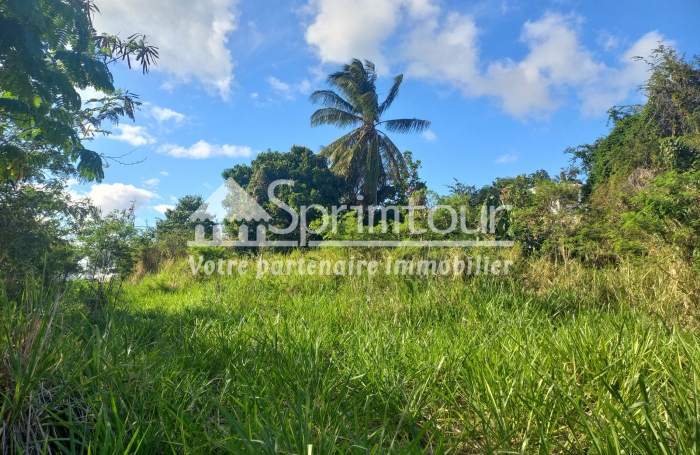 Vente Terrain 97119