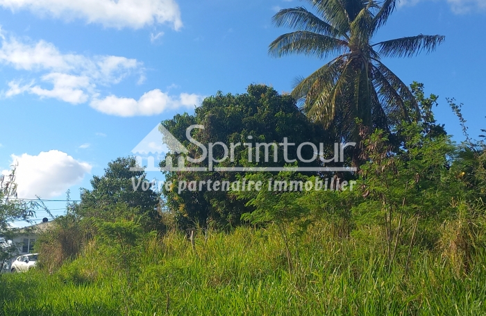 Spacieux Terrain à Vieux Habitants : Espace 4 956 m2, Calme et à Proximité de Basse Terre