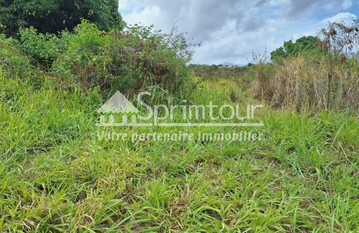 Spacieux Terrain à Vieux Habitants : Espace 4 956 m2, Calme et à Proximité de Basse Terre