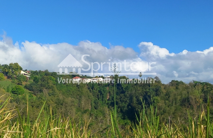Spacieux Terrain à Vieux Habitants : Espace 4 956 m2, Calme et à Proximité de Basse Terre