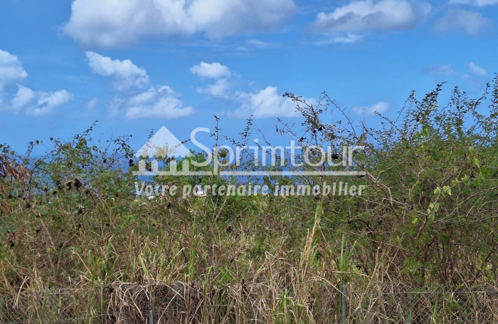 Spacieux Terrain à Vieux Habitants : Espace 4 956 m2, Calme et à Proximité de Basse Terre