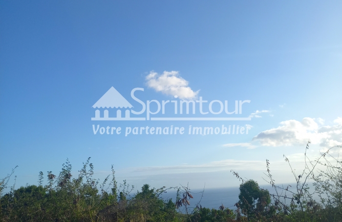 Spacieux Terrain à Vieux Habitants : Espace 4 956 m2, Calme et à Proximité de Basse Terre
