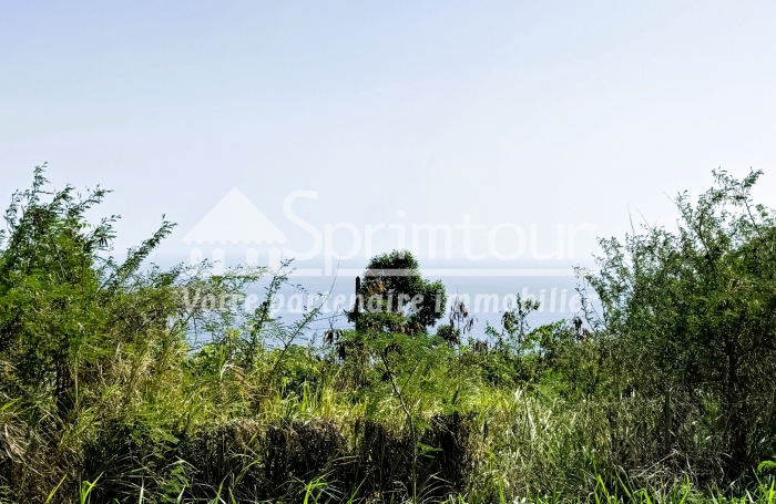 Spacieux Terrain à Vieux Habitants : Espace 4 956 m2, Calme et à Proximité de Basse Terre