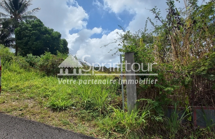 Spacieux Terrain à Vieux Habitants : Espace 4 956 m2, Calme et à Proximité de Basse Terre