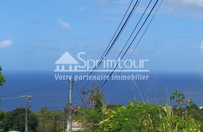 Spacieux Terrain à Vieux Habitants : Espace 4 956 m2, Calme et à Proximité de Basse Terre