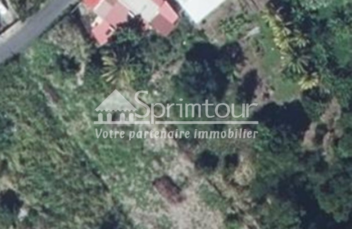 Spacieux Terrain à Vieux Habitants : Espace 4 956 m2, Calme et à Proximité de Basse Terre