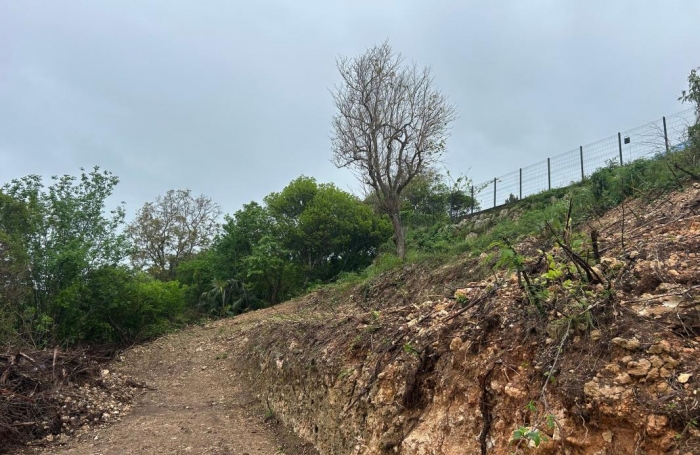 Vente Terrain 1020m&sup2; Le Moule