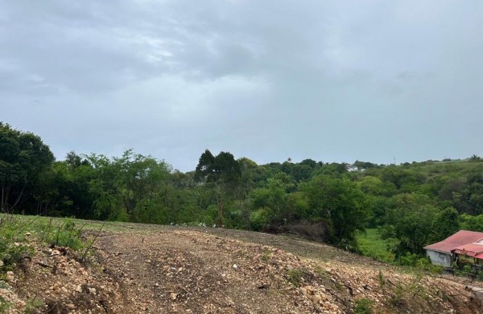 Vente Terrain 97160