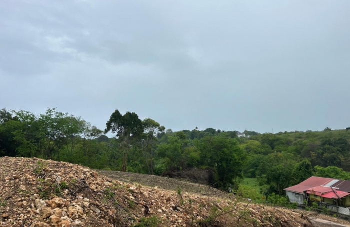 Vente Terrain 1020m&sup2; Le Moule