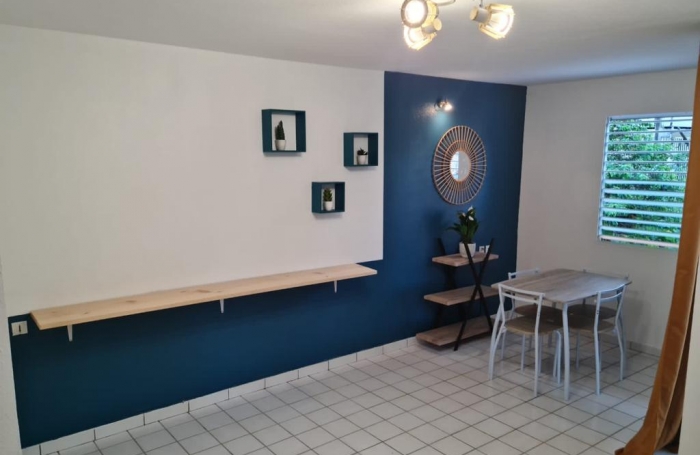 CHARMANT APPARTEMENT T2 MEUBLE RENOVE