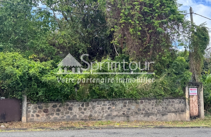 Vente Terrain 97100