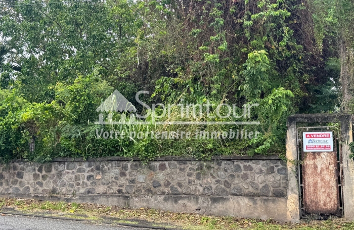 À vendre   Terrain constructible de 2999 m2 à Basse-Terre