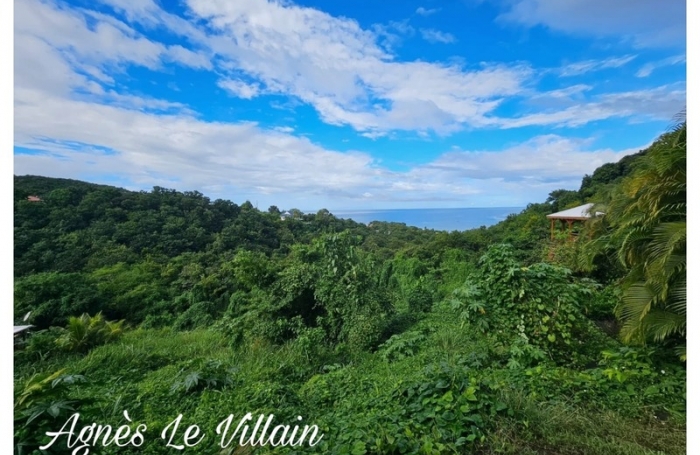 Vente Terrain 97125