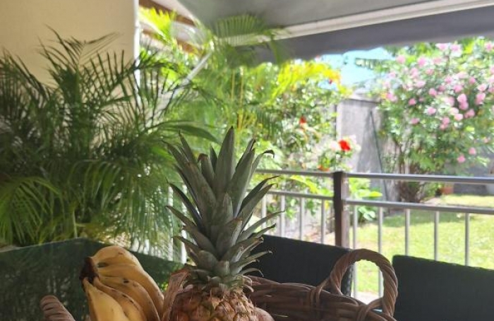 Location Maison 45m&sup2; 3 pi&#232;ces Sainte Anne